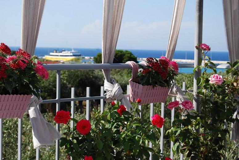 Killini Cottage Studio The Small Cyclades Kastro-Kyllini Exterior photo